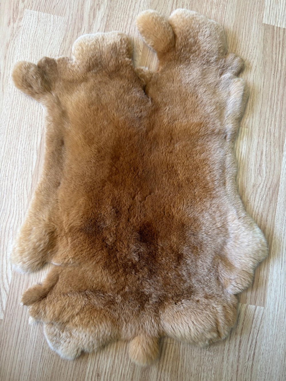 B0009 Rex rabbit hide crafts decor